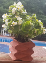 Load image into Gallery viewer, Concrete Plant Pot | Concrete Planter | Minimalist Planter | Medium Planter with Drainage | Succulent Planter | Indoor Planter | Flower Pot - Shaping Ideas