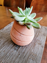 Load image into Gallery viewer, Modern Cement Succulent Pot, Cactus Planter Pot, Plant Container, Flower Pot - Shaping Ideas