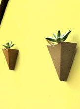 Load image into Gallery viewer, Wall Planter Wall Decor Wall Hanging Planter- Plant Hanger Succulent Planter Wall Planter Indoor Wall Plant Holder Wall Plant Pot - Shaping Ideas