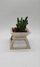 Load image into Gallery viewer, 3.5 inch pyramid cement planter stand with cement planter stand, Concrete planter - Shaping Ideas