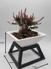Load image into Gallery viewer, 6 inch pyramid cement planter stand with cement planter stand, Concrete planter - Shaping Ideas