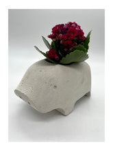 Load image into Gallery viewer, Pig Planter | Piggy Planter | Animal Planter | Cute Planter | Indoor Planter | Cactus Planter | Gift | Present | Container | Pot | Succulent - Shaping Ideas