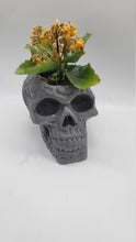 Load image into Gallery viewer, Skull Planter, Skull Plant Pot, Skull Succulent Planter, Hanging Wall Planter, Head Planter, Handmade Skull Planter, Halloween Gift - Shaping Ideas