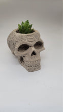 Load image into Gallery viewer, Skull Planter, Skull Plant Pot, Skull Succulent Planter, Hanging Wall Planter, Head Planter, Handmade Skull Planter, Halloween Gift - Shaping Ideas