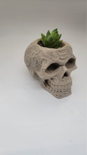 Load image into Gallery viewer, Skull Planter, Skull Plant Pot, Skull Succulent Planter, Hanging Wall Planter, Head Planter, Handmade Skull Planter, Halloween Gift - Shaping Ideas