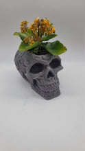 Load image into Gallery viewer, Skull Planter, Skull Plant Pot, Skull Succulent Planter, Hanging Wall Planter, Head Planter, Handmade Skull Planter, Halloween Gift - Shaping Ideas