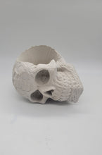 Load image into Gallery viewer, Skull Planter, Skull Plant Pot, Resting Skull Succulent Planter, Head Planter, Handmade Skull Planter, Halloween Gift