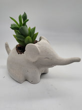 Load image into Gallery viewer, Elephant Air plant holder, elephant gift
