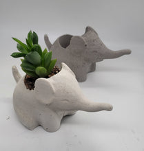 Load image into Gallery viewer, Elephant Air plant holder, elephant gift
