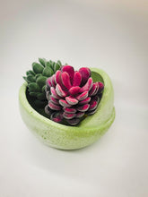 Load image into Gallery viewer, Succulent Pot - Concrete Planter - Bowl Planter - Geometric - Minimalist - Air Plant Holder - Shower Favor - Mother's Day Gift