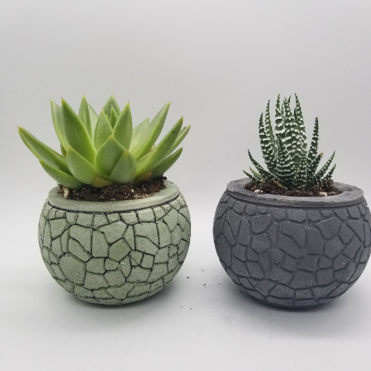 Succulent Pot - Concrete Planter - Small Plant Holder