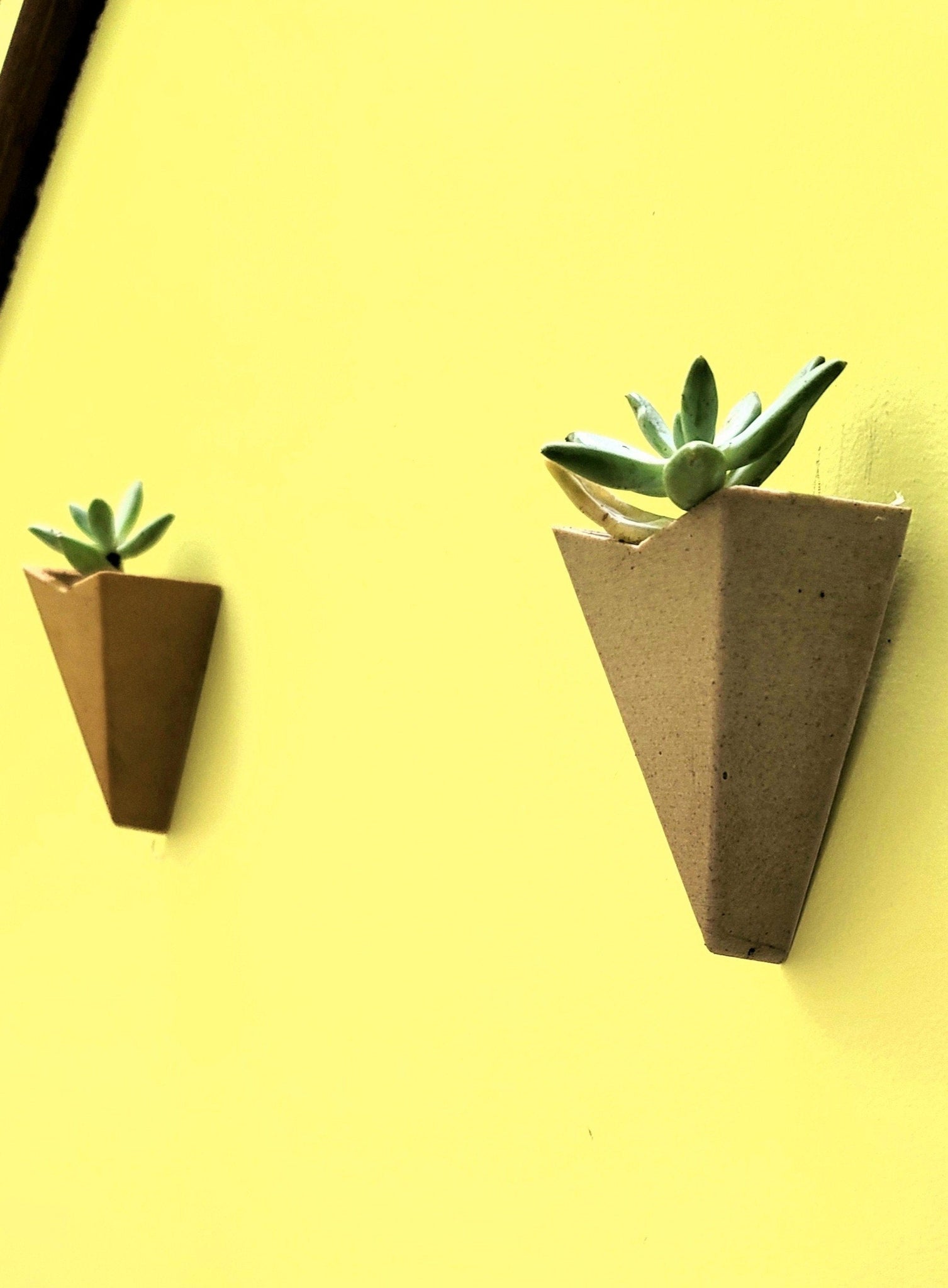 succulent plant wall holder Wall Planter Wall Decor Wall Hanging Planter- Plant Hanger Succulent P – Shaping Ideas