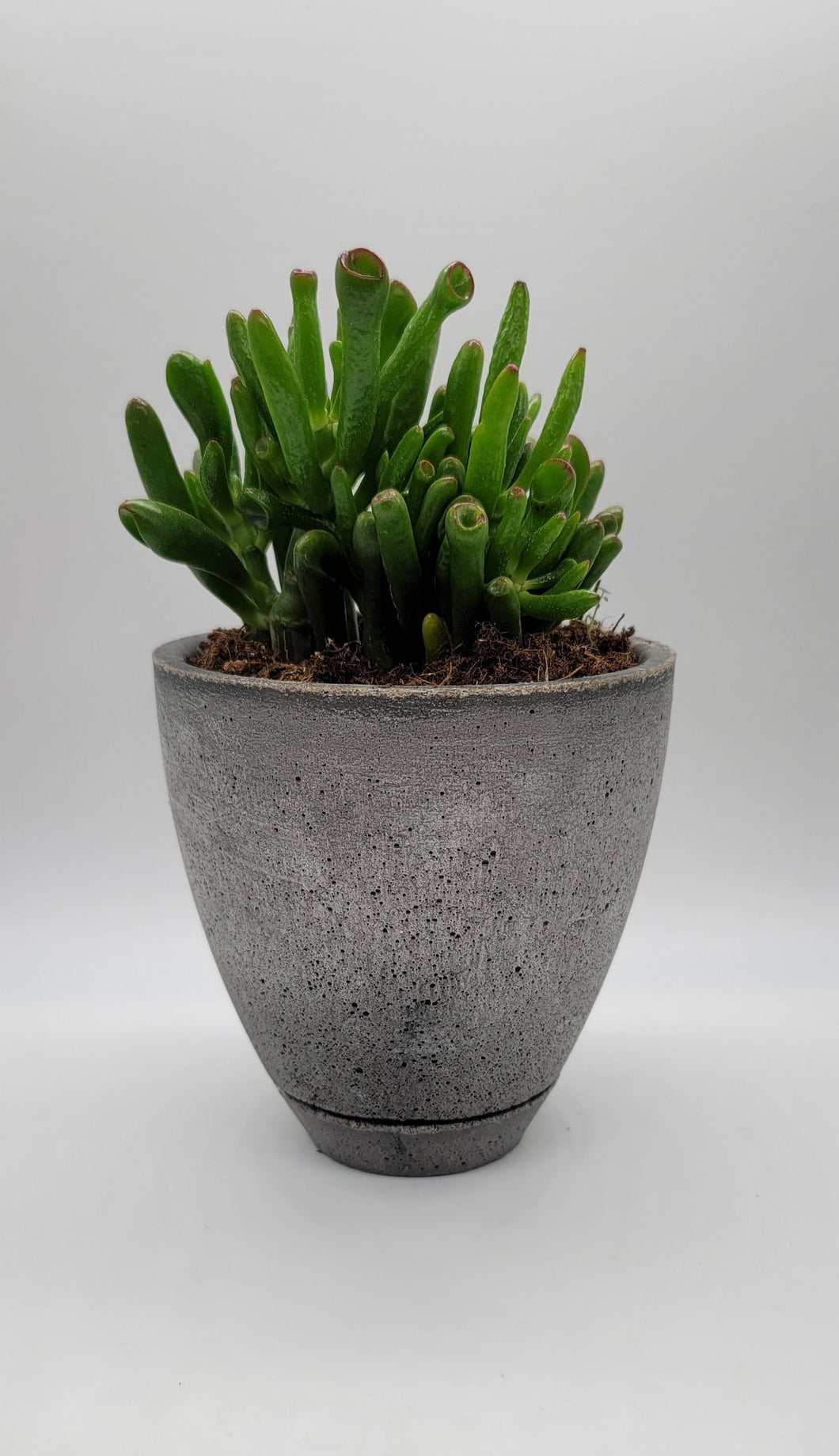 Modern 5-Inch Cement Planter Pot with Drainage Hole and Saucer - Shaping Ideas 