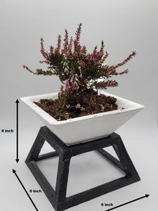 concrete pot plant stand Planter with stand pyramid shape in cement 6 inch, Concrete planter sq – Shaping Ideas