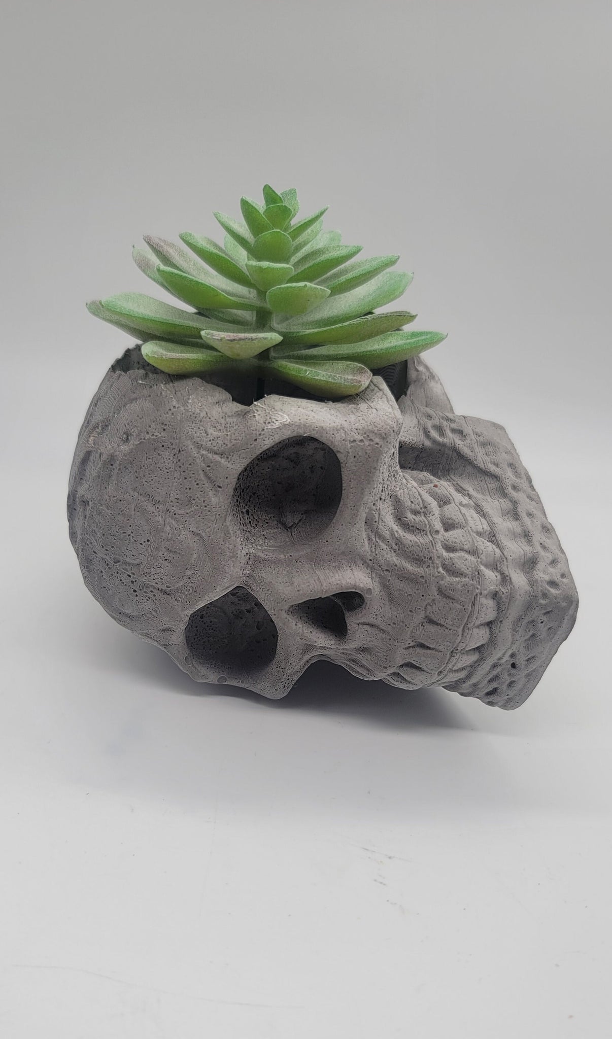 skull succulent Skull Planter, Skull Plant Pot, Resting Skull Succulent Planter, Head – Shaping Ideas