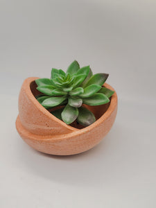 Succulent Pot - Concrete Planter - Bowl Planter - Geometric - Minimalist - Air Plant Holder - Shower Favor - Mother's Day Gift