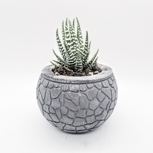Succulent Pot - Concrete Planter - Small Plant Holder - Air Plant Holder - Minimalist - Shower Favor - Gifts for Her - Modern Decor - Office - Shaping Ideas 