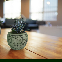 Load image into Gallery viewer, Succulent Pot - Concrete Planter - Small Plant Holder - Air Plant Holder - Minimalist - Shower Favor - Gifts for Her - Modern Decor - Office - Shaping Ideas 
