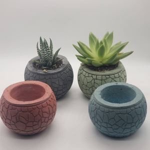 Succulent Pot - Concrete Planter - Small Plant Holder - Air Plant Holder - Minimalist - Shower Favor - Gifts for Her - Modern Decor - Office - Shaping Ideas 